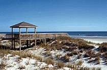 Williamson Realty, Inc.